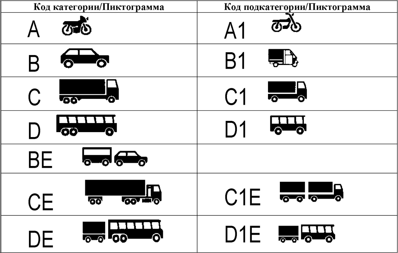 Сколько стоит обучение на с категорию